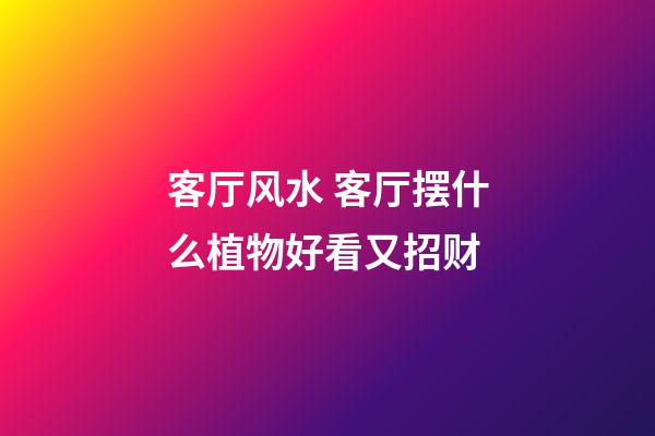 客厅风水 客厅摆什么植物好看又招财